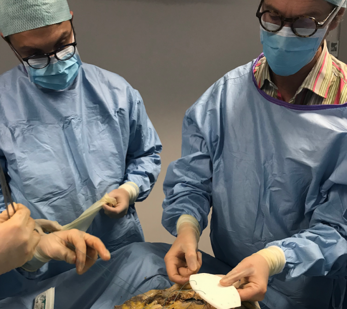 Formation de chirurgiens européens à la technique opératoire de l’implant sternal Ceramil